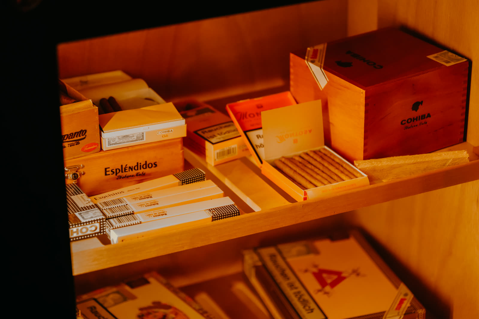 Zigarrenkisten im Humidor